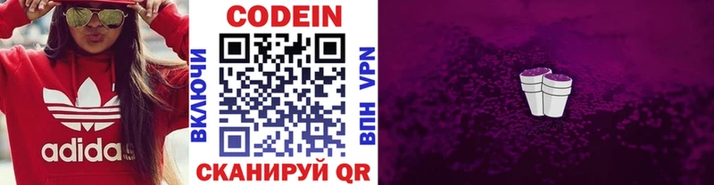 как найти наркотики  Елизово  Кодеин напиток Lean (лин) 