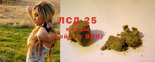 спайс Верея