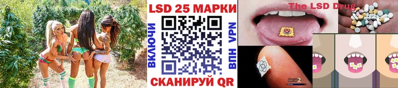 как найти   Елизово  Марки NBOMe 1,5мг 