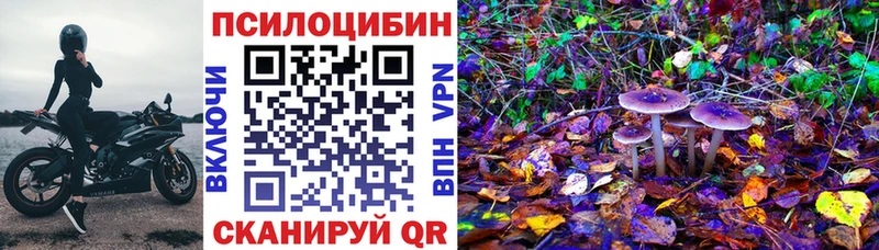 Галлюциногенные грибы мицелий  Елизово 